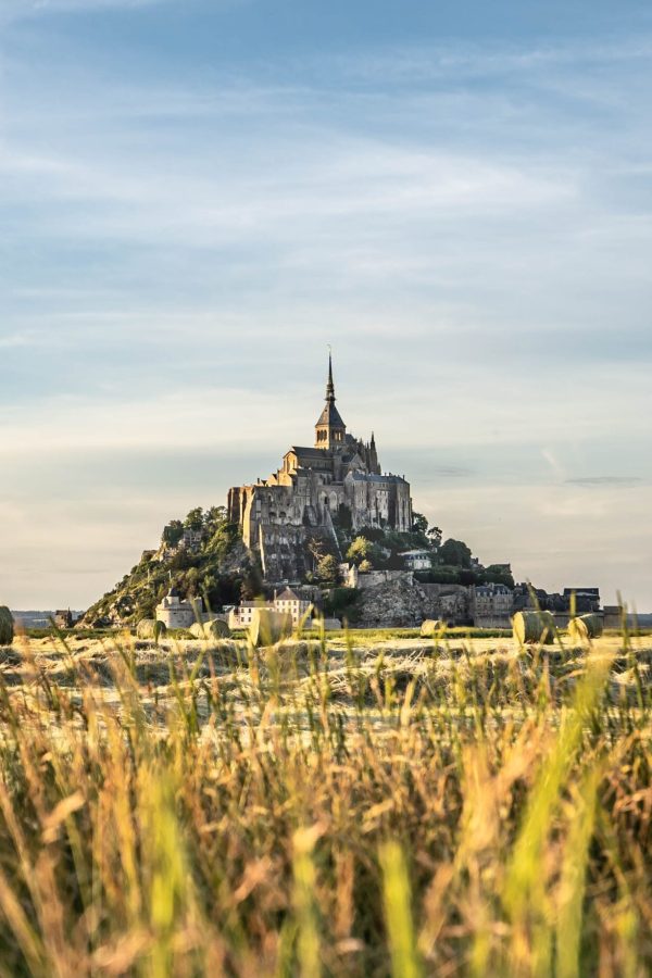 dan-wilding-IQ1EuGwD-Lw-unsplash