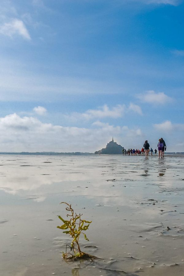 mont-saint-michel-g9619408d7_1920