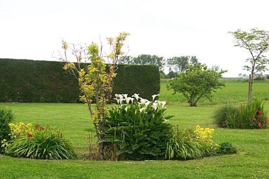 Jardin
