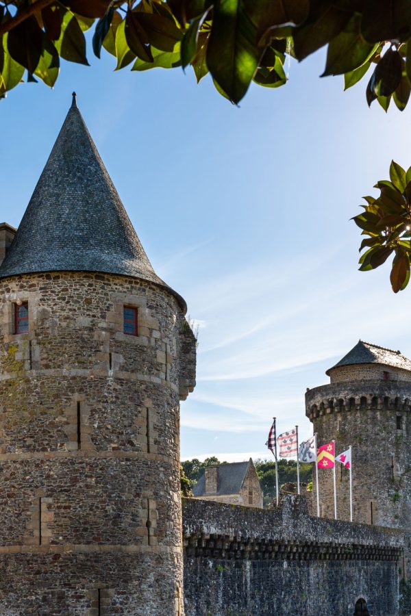 view-of-the-fortress-of-fougeres-in-france-framed-with-tree-leaves